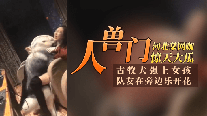 12.11惊天大瓜 河北某网咖“人兽门”！古牧犬强上女孩，队友再旁边乐开花，青年人太会玩了！~1